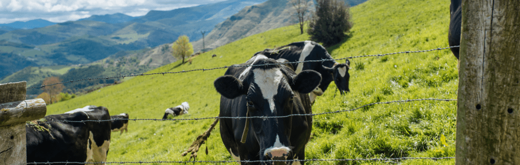 Productos de Cantabria
